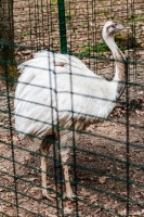 140413_Zoo_001